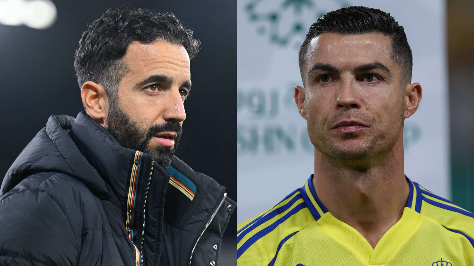 现摘得金牌 现摘得金牌